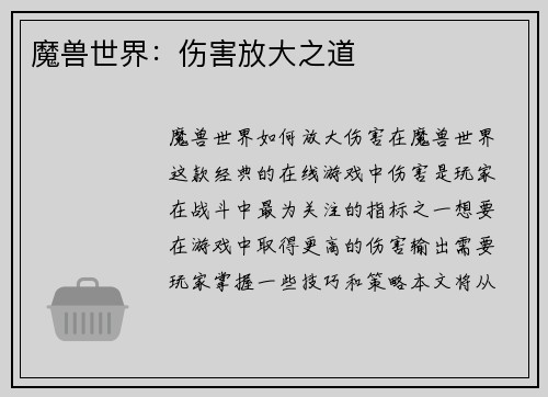 魔兽世界:伤害放大之道